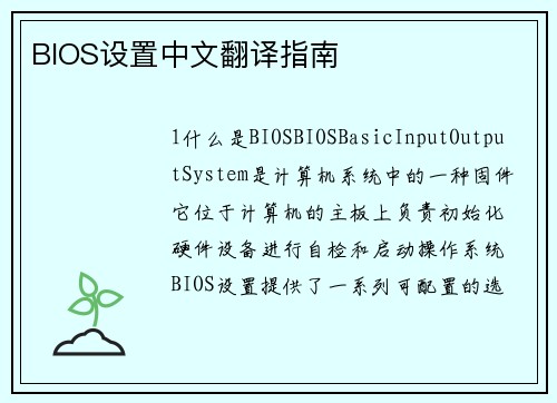 BIOS设置中文翻译指南