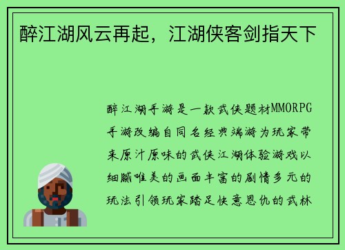 醉江湖风云再起，江湖侠客剑指天下